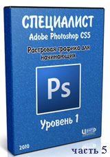 Уроки Photoshop. Растровая графика для начинающих ч.5 (видео онлайн)